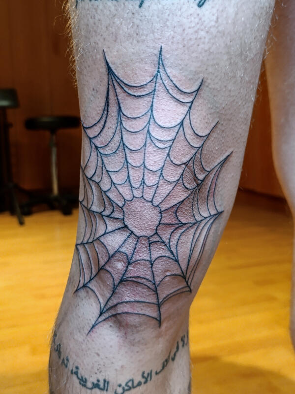 Spider web, 24.