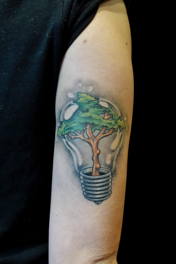 Light Bulb tree, 24.